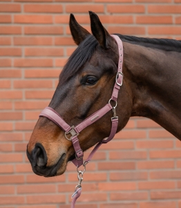 WALDHAUSEN Kantar z Uwiązem Velvet dusky pink