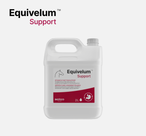 BIOVICO EQUIVELUM SUPPORT 2l na wrzody 