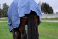 400747066_zoom_2_web-1.jpg