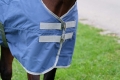 400747066_zoom_3_web-1.jpg