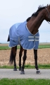400747066_zoom_5_web-1.jpg