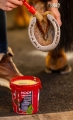 727001100_ambi_3_web.jpg