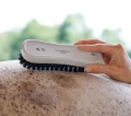 Curry-comb-brush-dla-konia.webp
