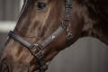 1229 Head collar Glitter 2.jpg