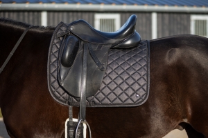 QHP Czaprak wszechstronny Glitter Black