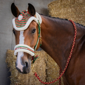 Harry's Horse zestaw kantar + uwiąz + nauszniki Merry Christmas