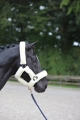 175506_Anwendungsbild__3224642_3255.jpg