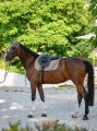 TH15HSAP934-057_06.jpg