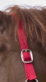 510118303_ambi_5_web.jpg