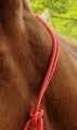 510148003_ambi_2_web.jpg