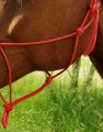 510148003_ambi_3_web.jpg