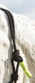 510160328_ambi_4_web.jpg
