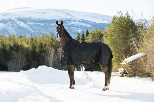 HZ_WIN_24574_BL-1 (1).jpg