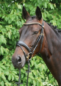 Ogłowie Hannover Hans Melzer 