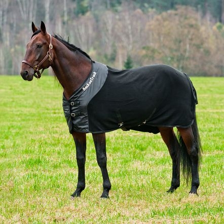 f1bfa97289e35749aef7ce338b40cd7a1ae38da8