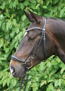 Ogłowie hanoverskie Valluhn Hans Melzer    