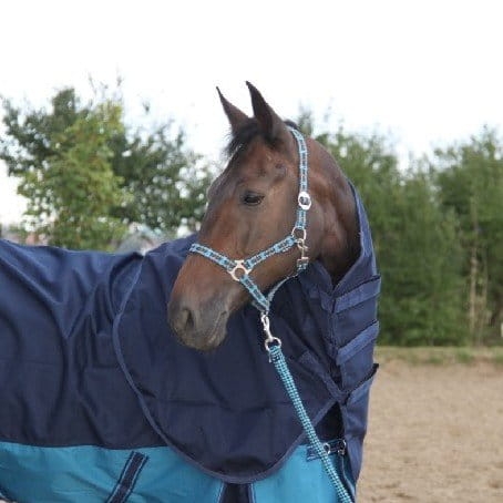 ffbe1fa21ba4e06cf6a8257beb7433de606e76c9