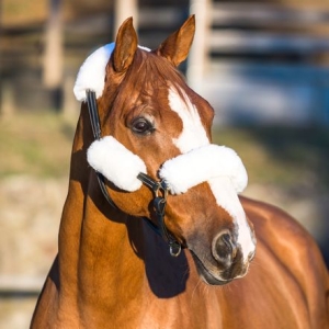 Zestaw futerek Horze na kantar