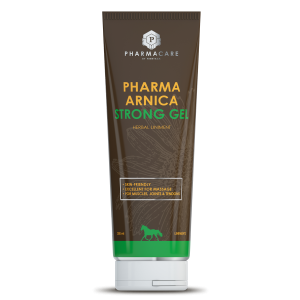 Pharma Arnica Strong Gel 280ml