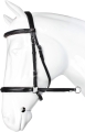 BITLESS BRIDLE.jpg