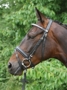 Ogłowie Kreuth Hans Melzer 