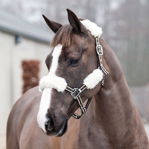 609976998277bc0b21791e75d4c577dc796b69ad