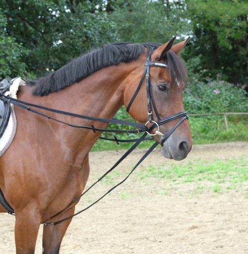 e94eabb99bad7eb8480ba45695520fbcf59cb6a3