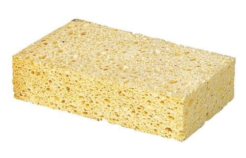 3293.jpg