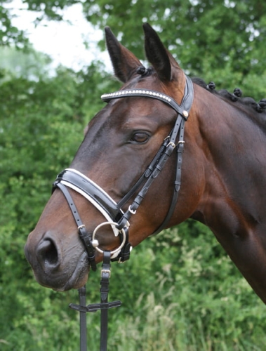 Hagen sw v. links rgb_0770.jpg