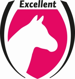Excellent Horse